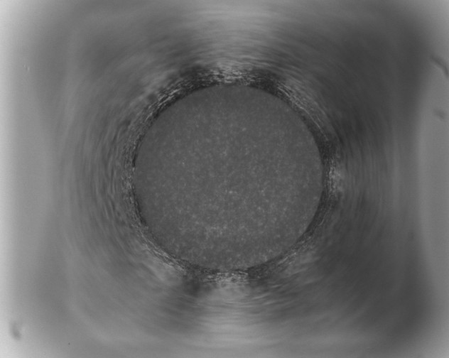 X0000102480865200808291625