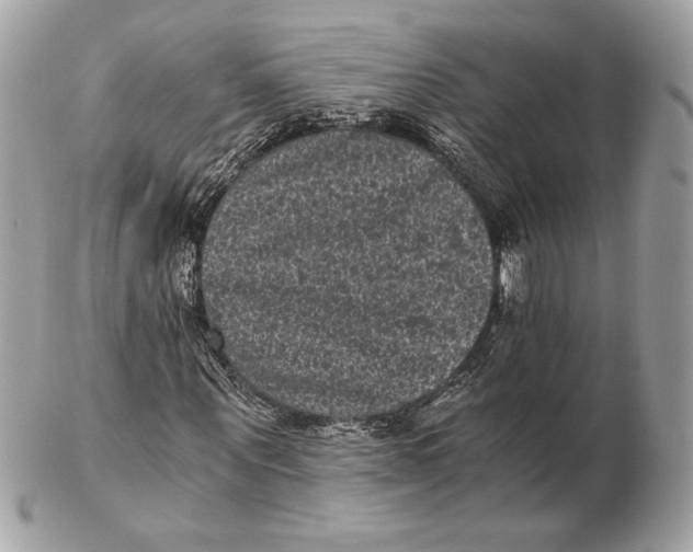 X0000102480867200808291625