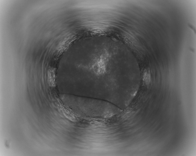 X0000102480868200808291625