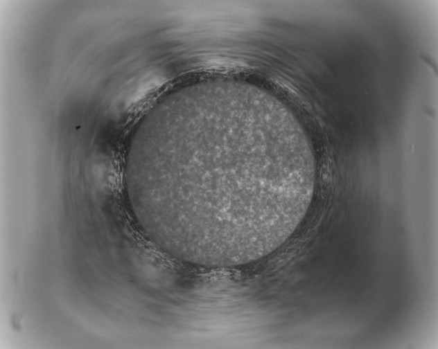 X0000102480869200808291625