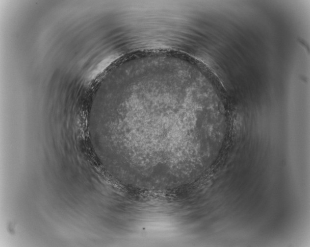 X0000102480871200808291625