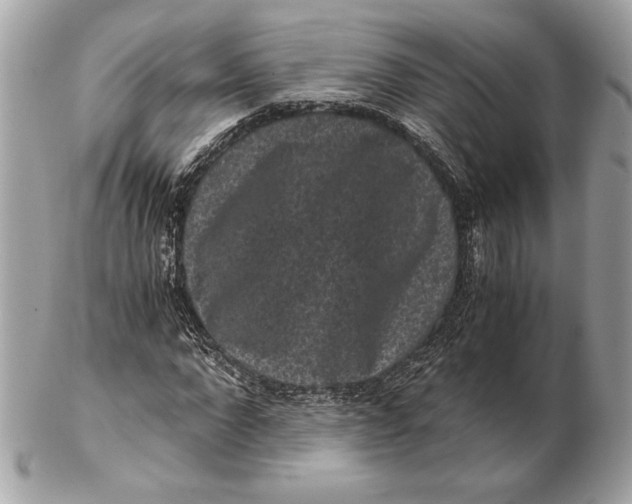 X0000102480872200808291625