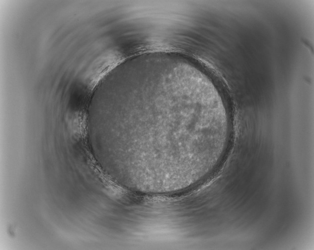 X0000102480873200808291625