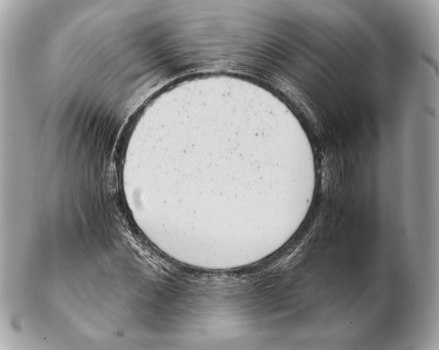 X0000102480876200808291625