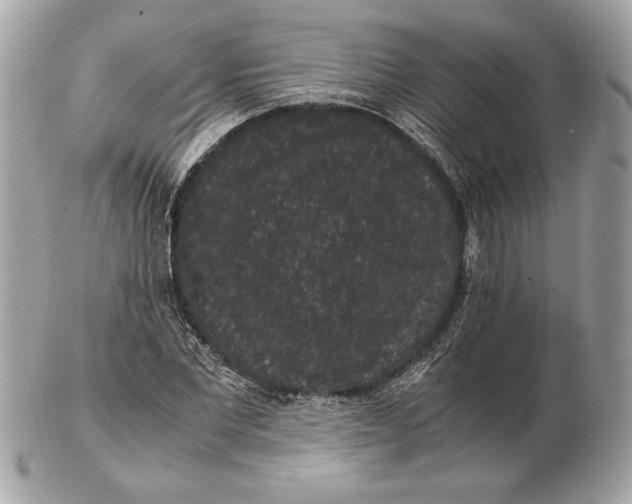 X0000102480877200808291625