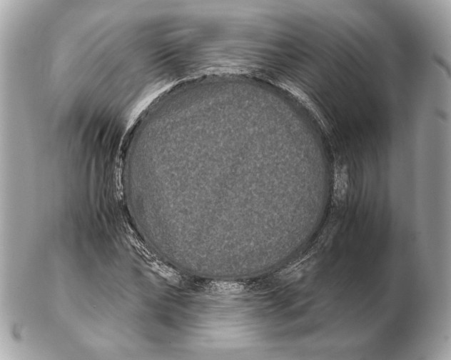 X0000102480878200808291625