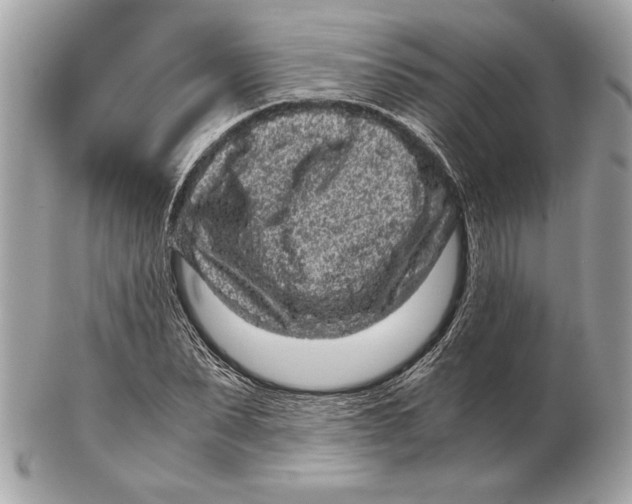 X0000102480879200808291625