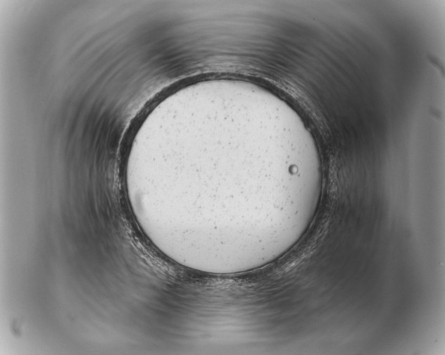 X0000102480880200808291625