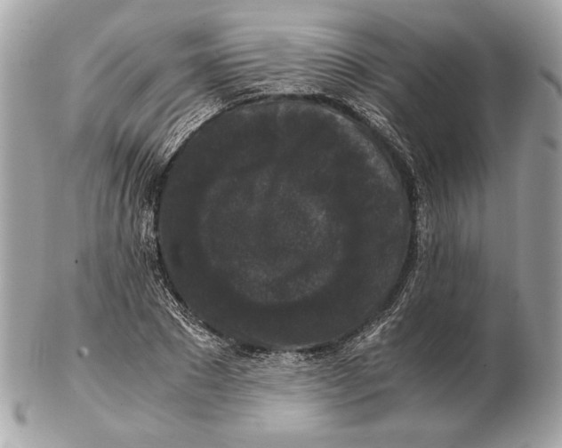 X0000102480881200808291625