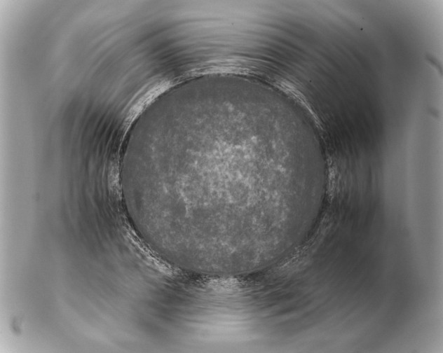 X0000102480882200808291625