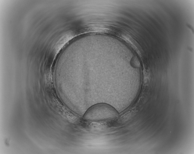 X0000102480883200808291625