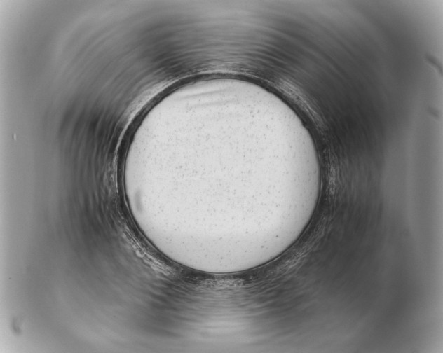 X0000102480884200808291625