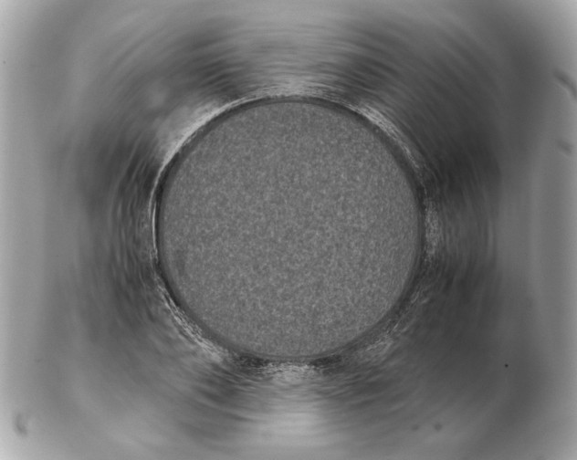 X0000102480886200808291624