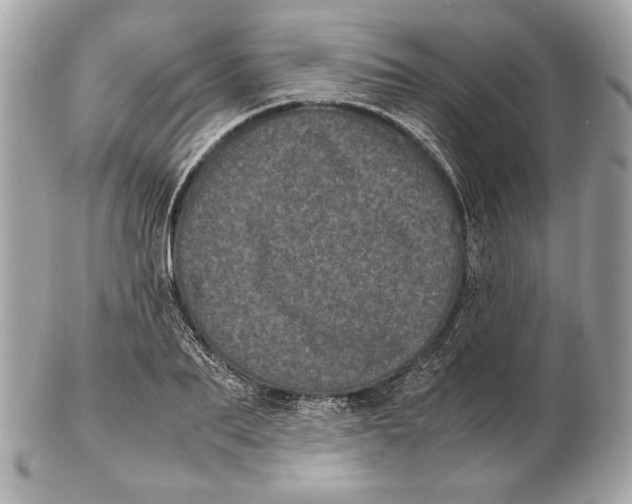 X0000102480887200808291624