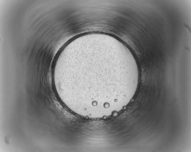 X0000102480888200808291624