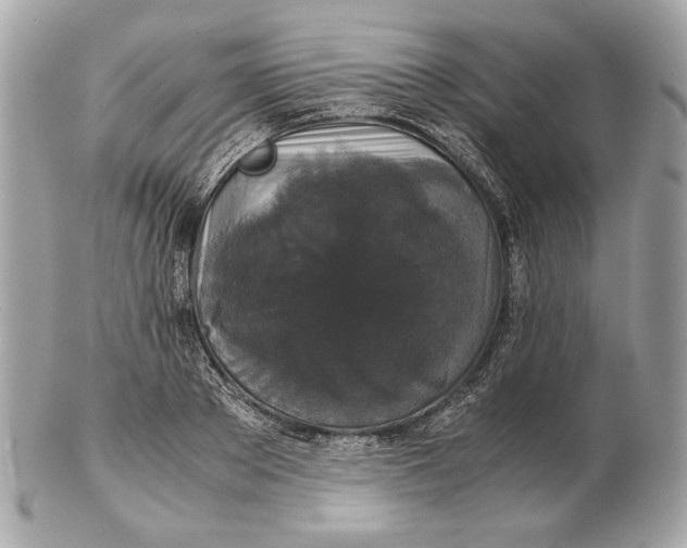 X0000102480889200808291624