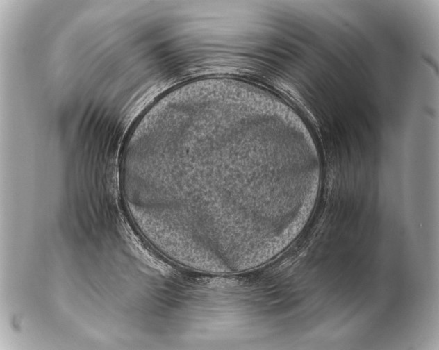 X0000102480890200808291624