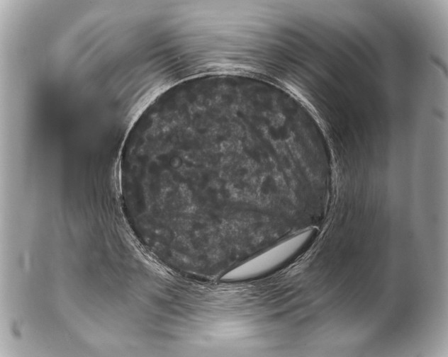 X0000102480891200808291624