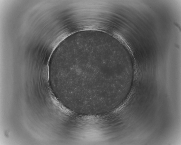 X0000102480892200808291624