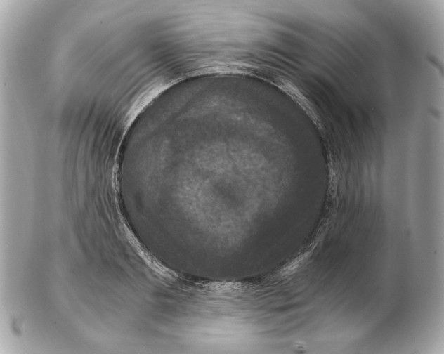 X0000102480893200808291624