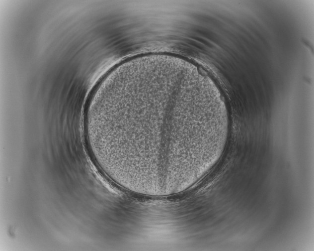 X0000102480894200808291624