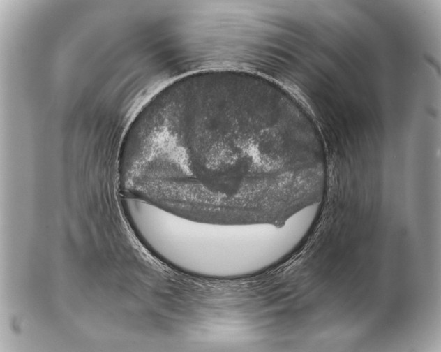 X0000102480895200808291624