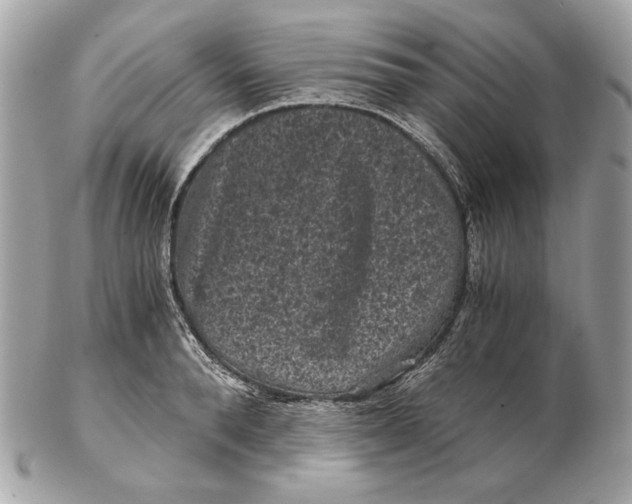 X0000102480896200808291624