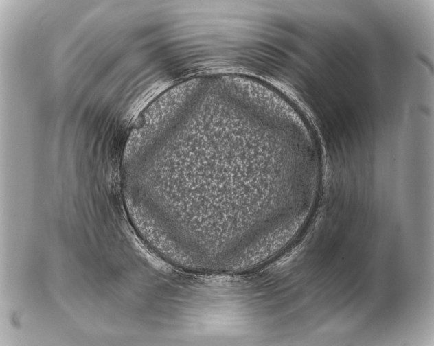 X0000102480897200808291624