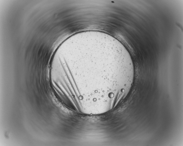 X0000102480900200808291624