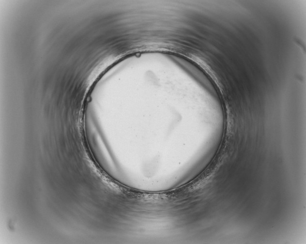 X0000102480901200808291624