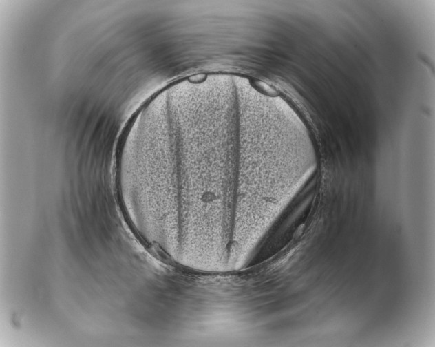 X0000102480902200808291624