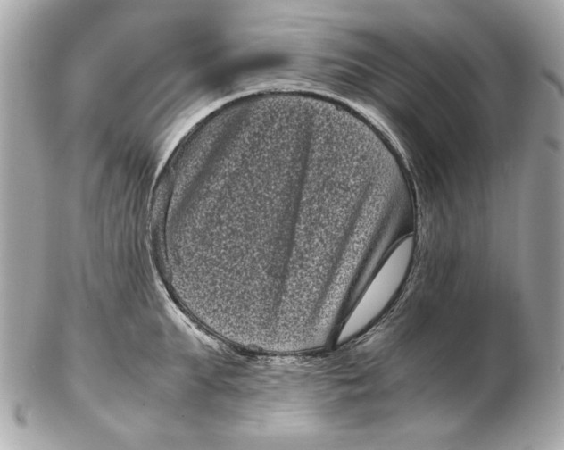 X0000102480903200808291624