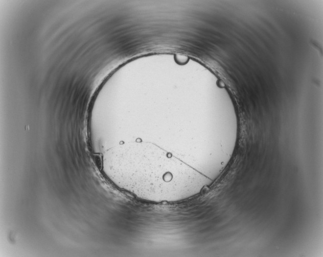 X0000102480904200808291624