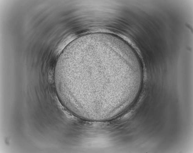 X0000102480905200808291624