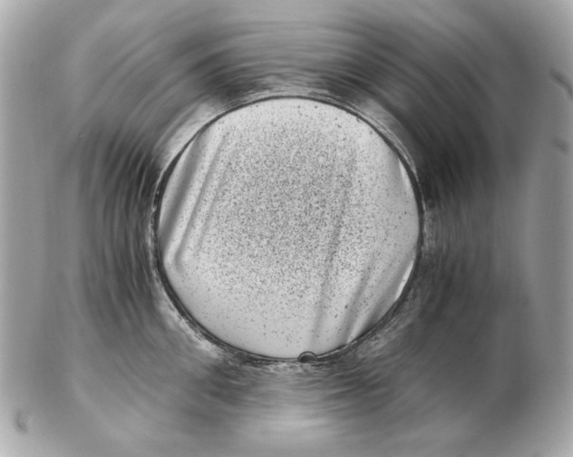 X0000102480906200808291624