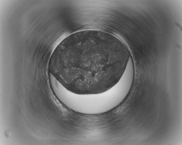 X0000102480907200808291624