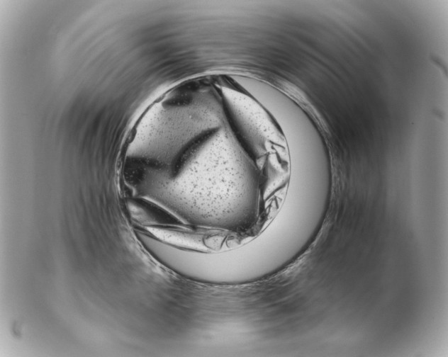 X0000102480908200808291624