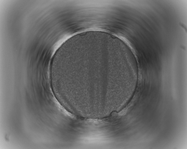 X0000102480910200808291624