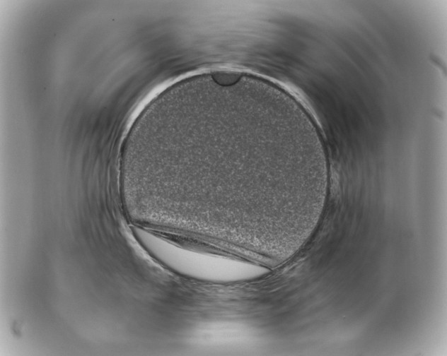 X0000102480911200808291624