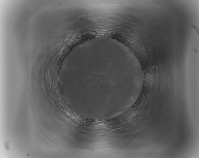 X0000102480913200808291623