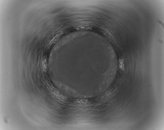 X0000102480915200808291624