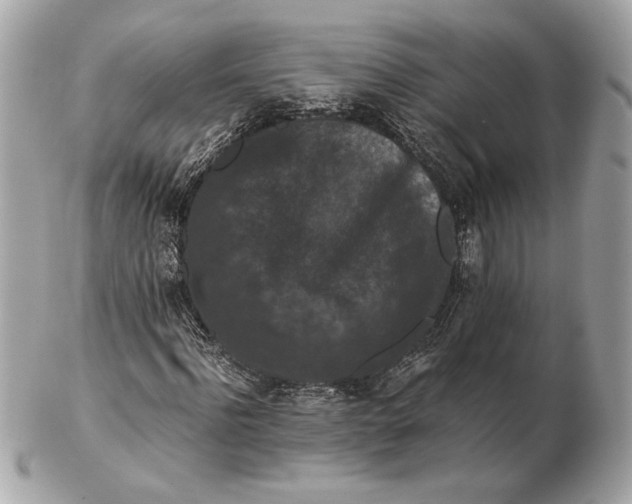 X0000102480916200808291624