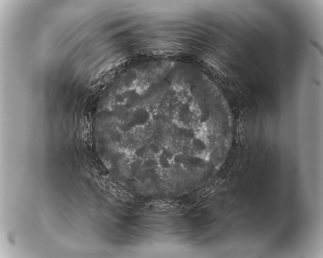 X0000102480917200808291624