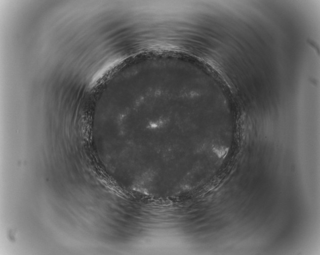 X0000102480919200808291624