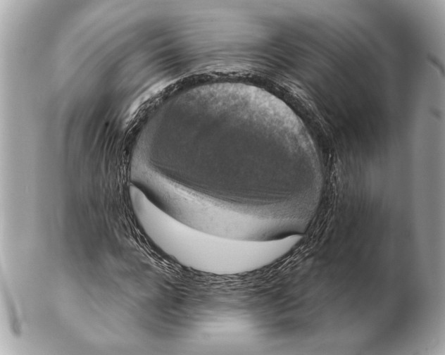 X0000102480920200808291624