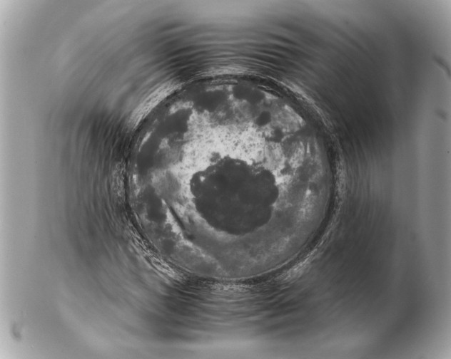 X0000102480921200808291624