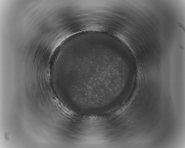 X0000102480923200808291624