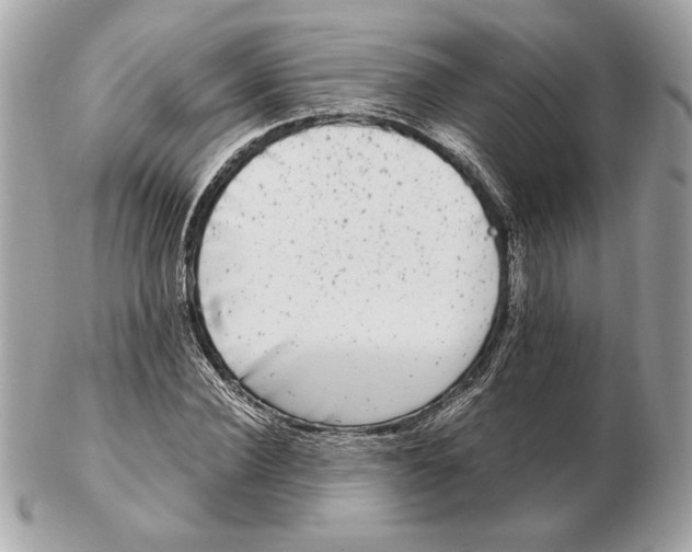 X0000102480924200808291624