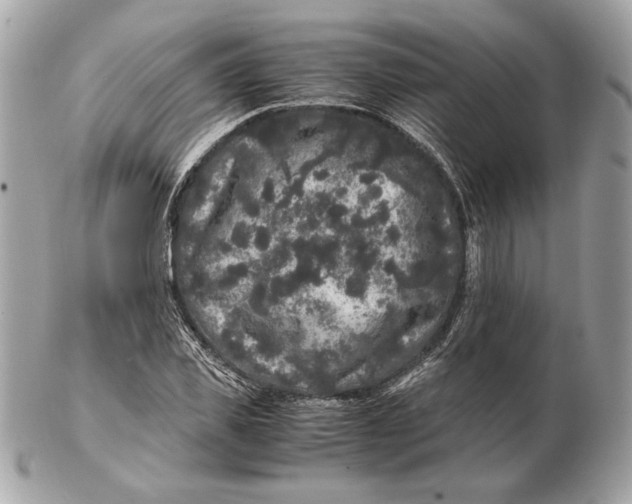 X0000102480925200808291624