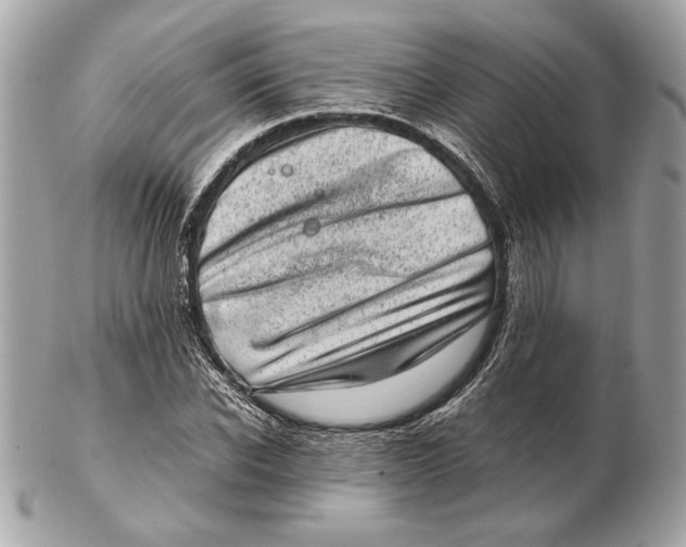 X0000102480926200808291624